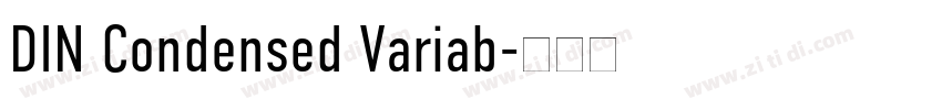 DIN Condensed Variab字体转换